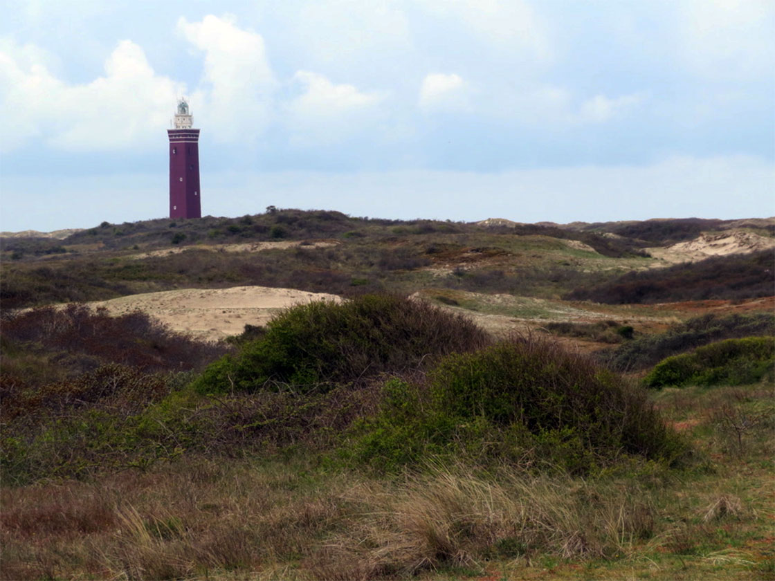 Dunas de Goeree y faro de Westhoofd en Ouddorp