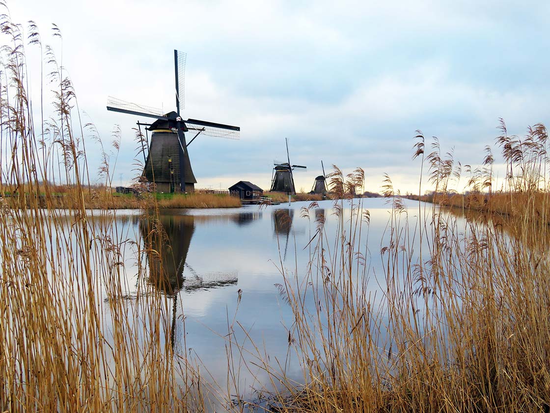 Molinos en Kinderdijk Holanda