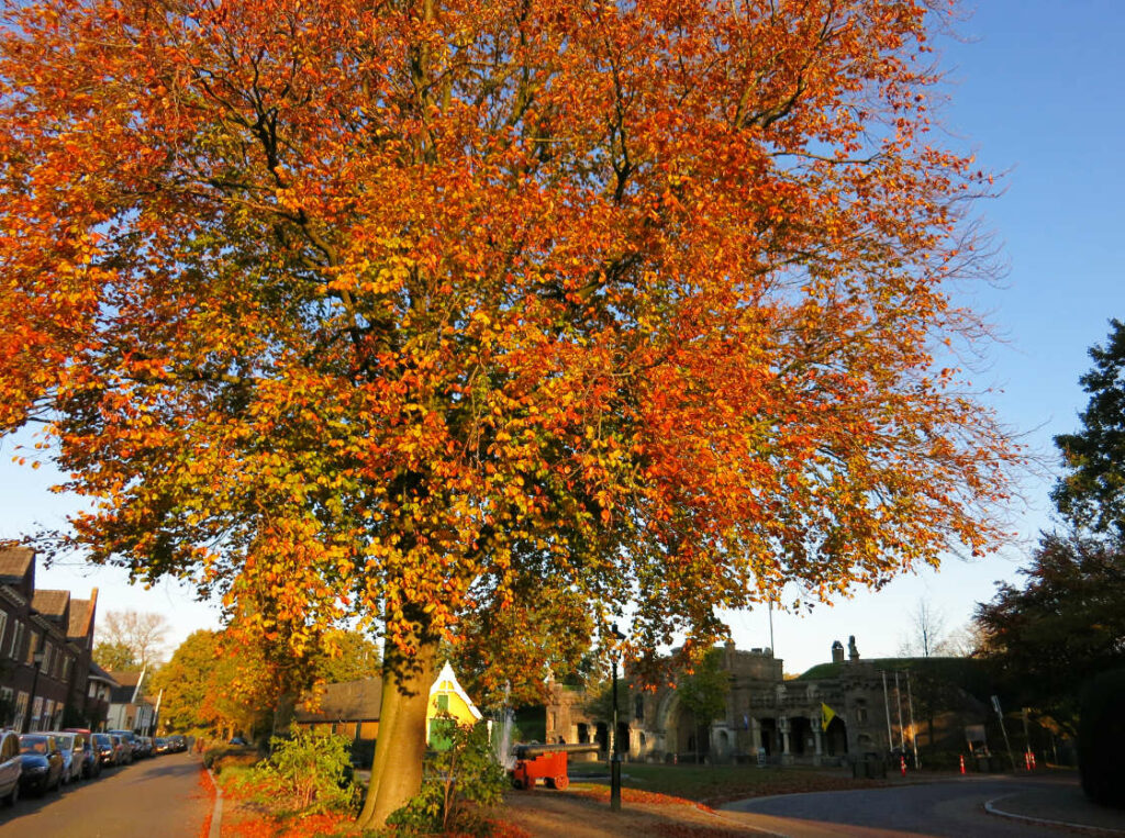 Otoño en Naarden Holanda