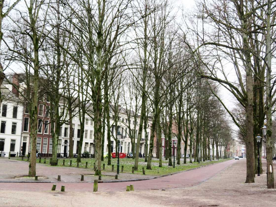 Lange Voorhout La Haya