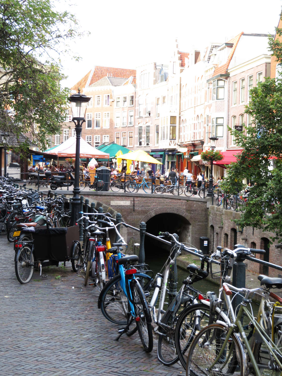 Bicicletas en Utrecht Holanda