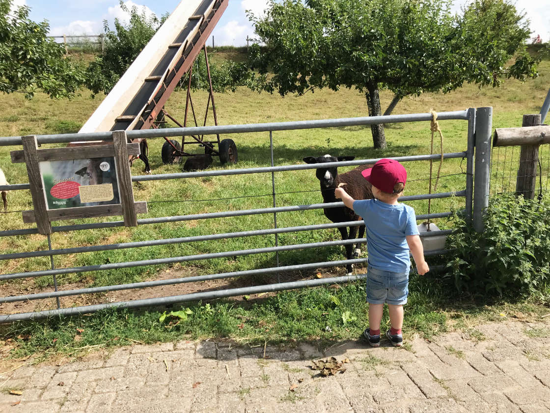 Granjas educativas en Holanda Stadsboerderij de Korenmaat Arnhem