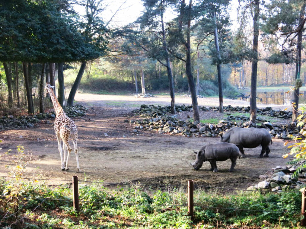 Zoológico Burgers Zoo Arnhem Holanda