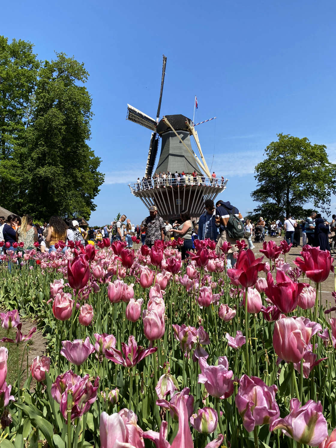 Molino del Keukenhof