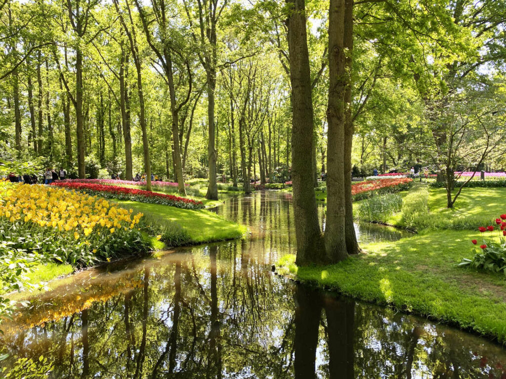 Qué ver en el Keukenhof