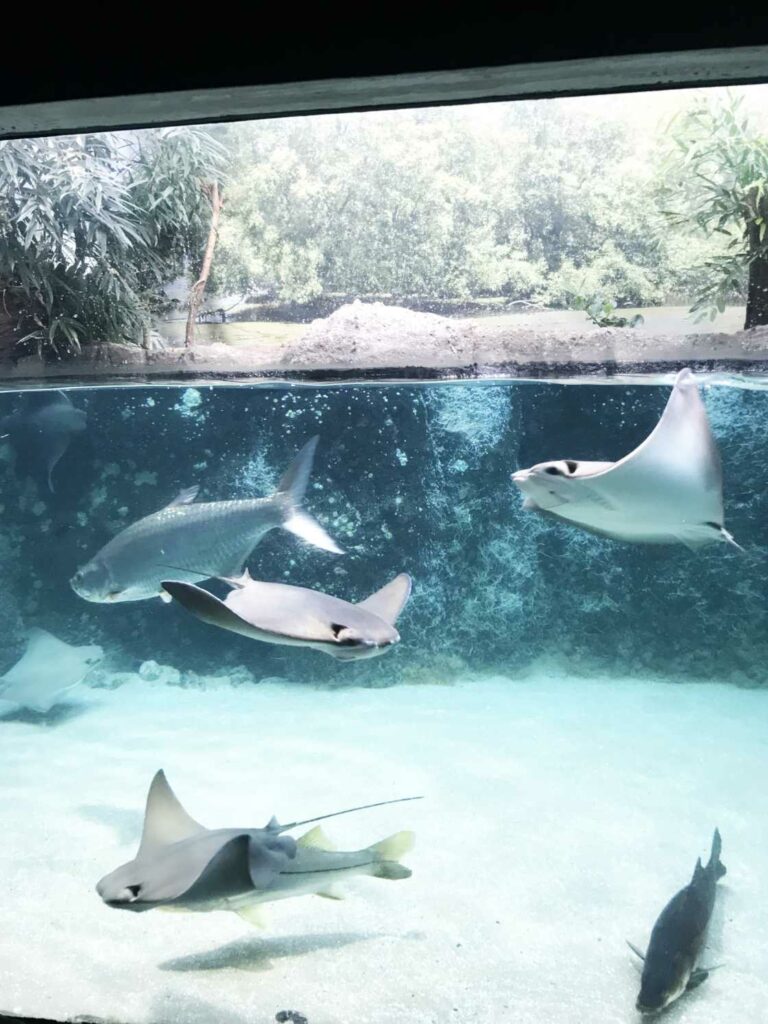 Diergaarde Blijdorp - Zoo de Roterdam Holanda