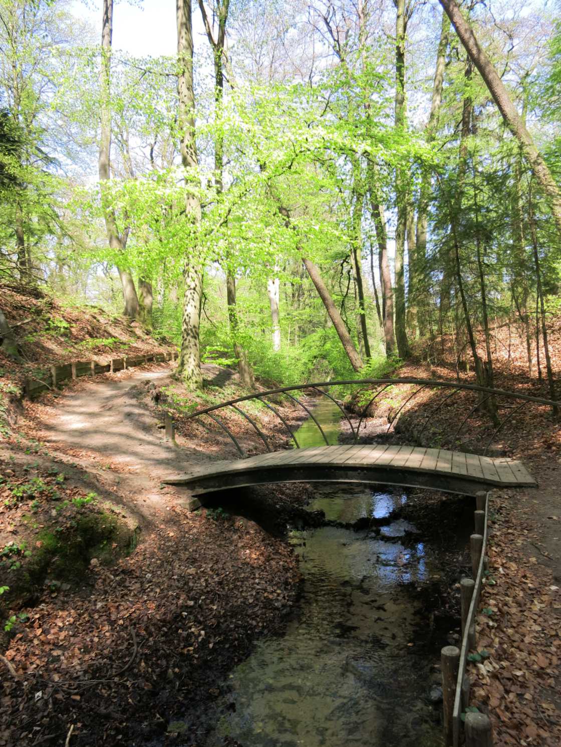 Park De Veluwezoom Holanda