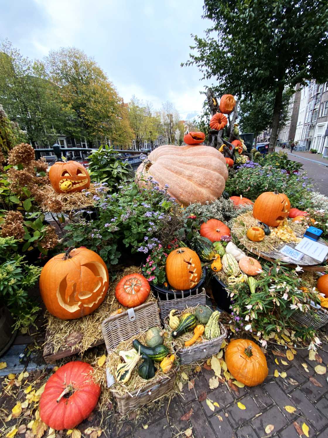 Jardín de calabazas - Queer Garden Amsterdam