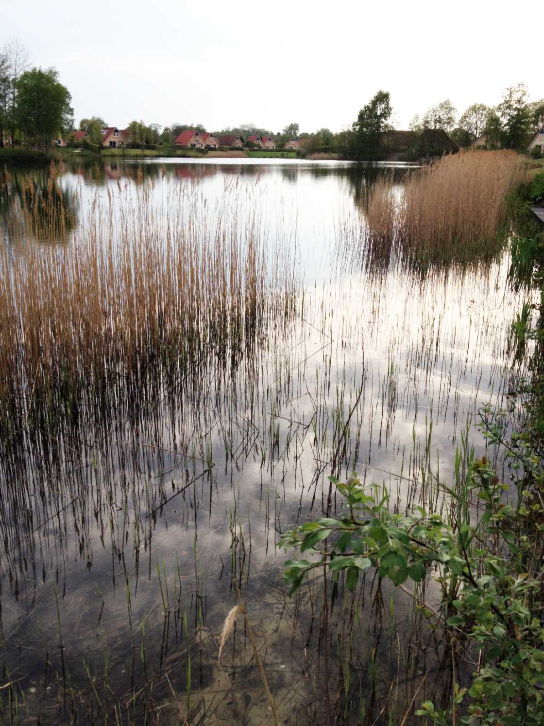 Veenmeer Tynarloo Holanda