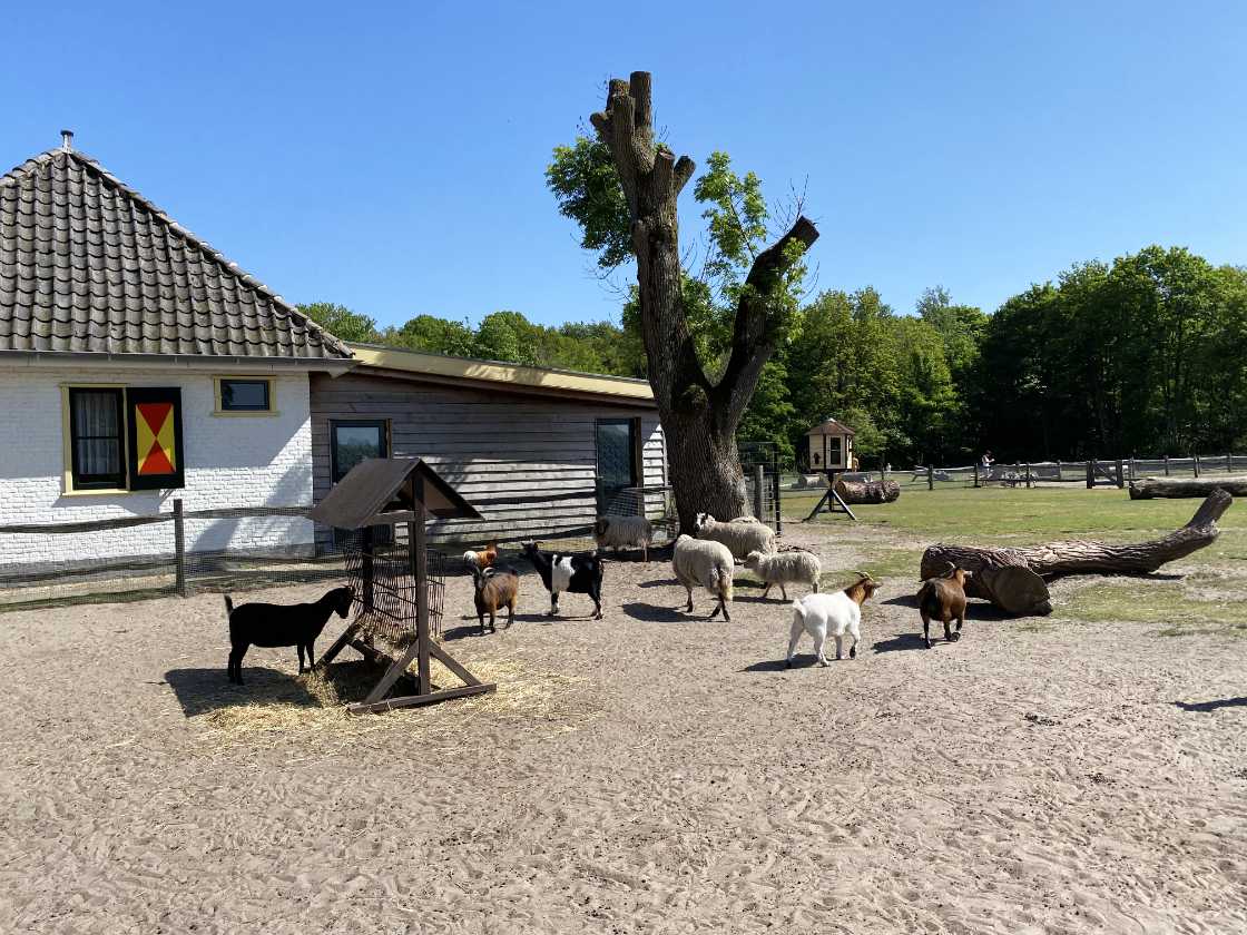 Granja infantil en Kasteel Keukenhof Lisse