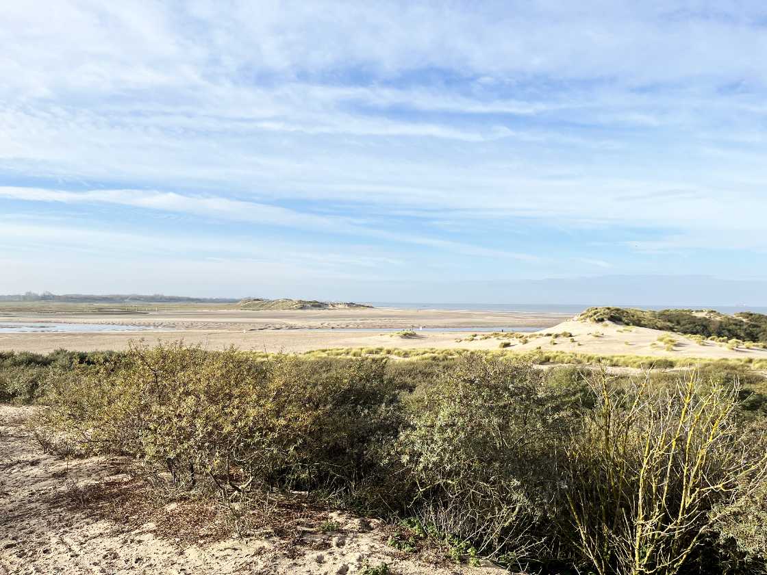 Reserva natural Het Zwin Cadzand Holanda