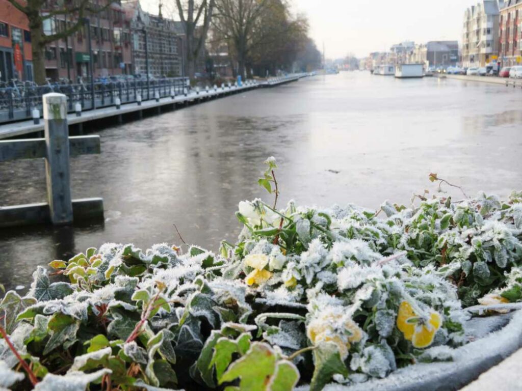 Frío en Holanda