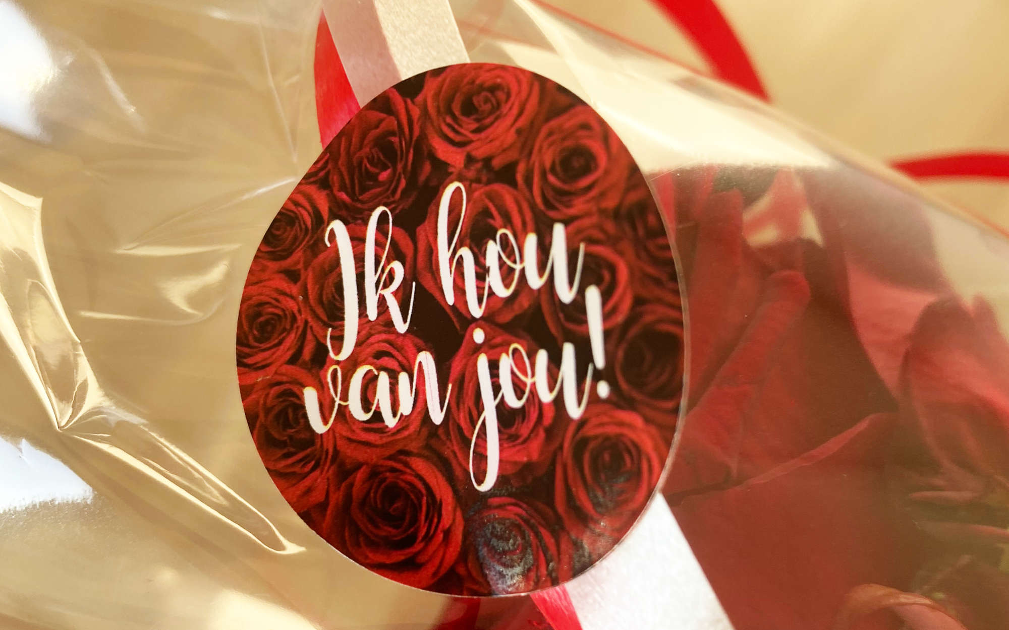 Guia San Valentin en Holanda